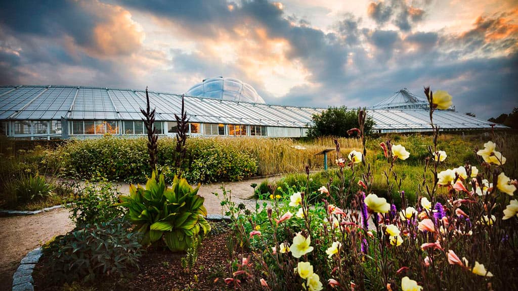 Aarhus Botanical Garden