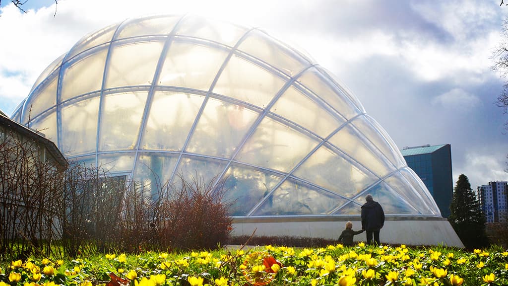 Aarhus Botanical Garden